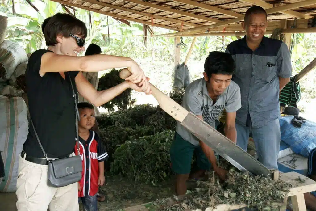 BiodivSourcing Support On Responsible Sourcing Of Natural Ingredients 14